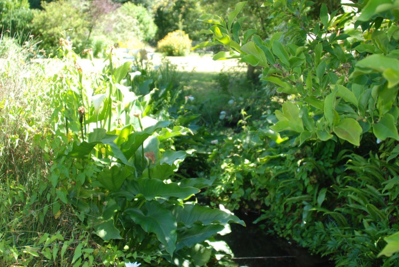 La Petite Marguerite Chitenay Exterior foto